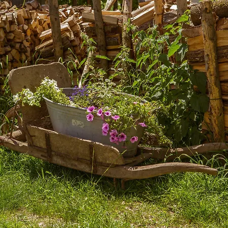 Gasthof Landgasthof Weberhans Harburg (Bavaria)