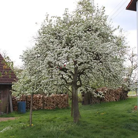 Landgasthof Weberhans Casa de hóspedes Harburg (Bavaria)