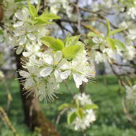 Landgasthof Weberhans Gasthof 3*